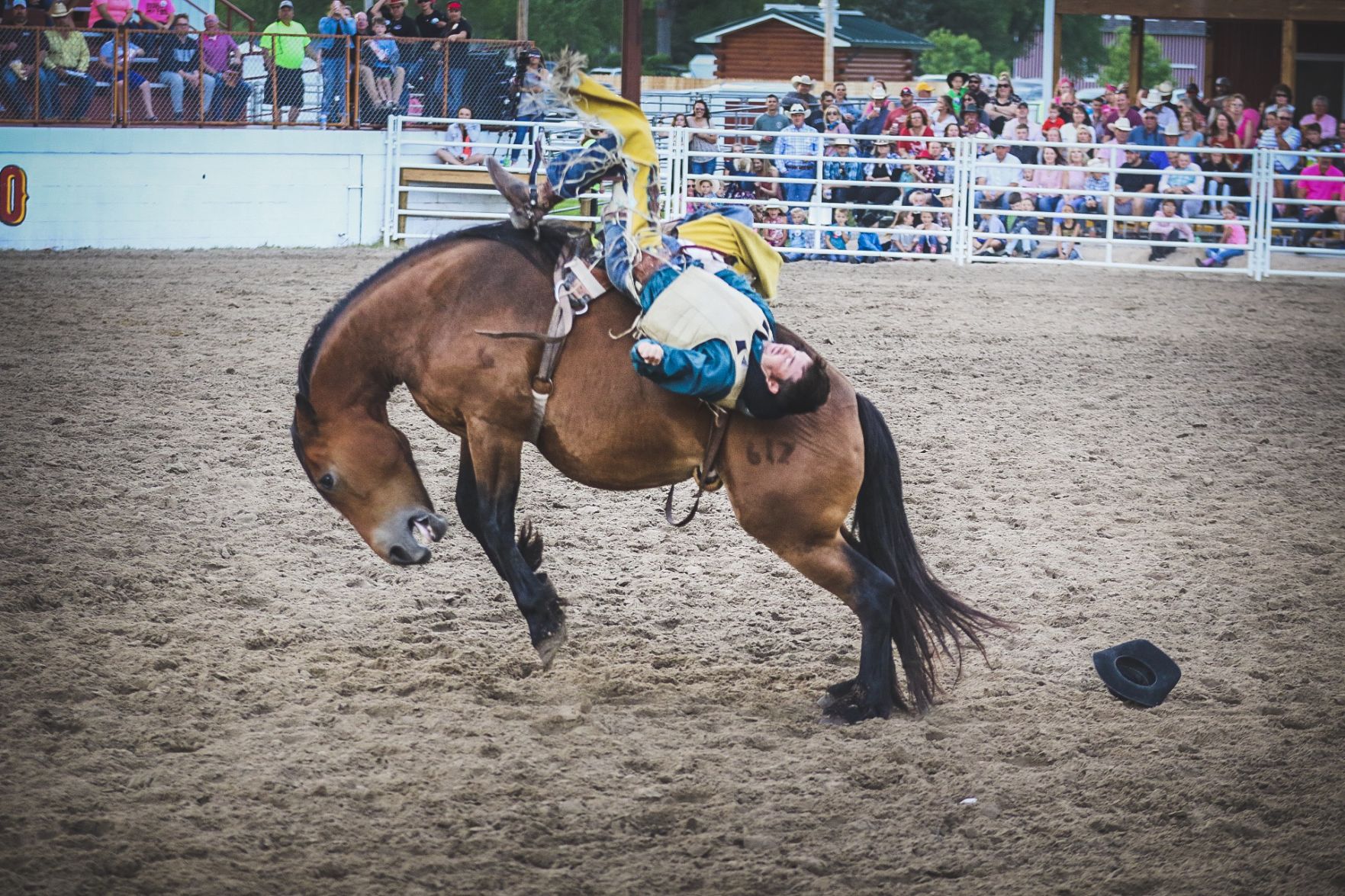 Buffalo Bill Rodeo Night 2 (40).jpg